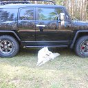 ���� ������, �����, 50 ��� - ��������� 3 ���� 2012 � ������ �PetLove�