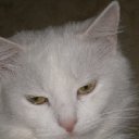 ���� �������, ������, 54 ���� - ��������� 6 ���� 2012 � ������ ���������� ������