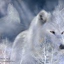  ~~,  -  4  2010   Carol Cavalaris,      .