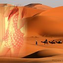 ���� �������, �����-���������, 54 ���� - ��������� 6 ������� 2012 � ������ ������� �������