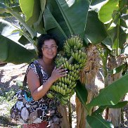 �����, 51 ���, ��������