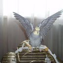 � ���! �� ������� ����� ��� ������������