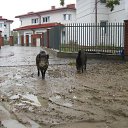 ...���������� ��������)))) �� ������� ���� ����������