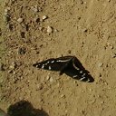 ���� ������, ������ - ��������� 13 ������� 2012 � ������ �������