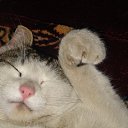 ���� �������, ������������, 66 ��� - ��������� 30 ������� 2011 � ������ ���� ����������