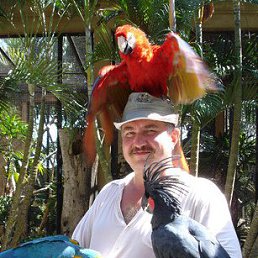 �����, 62 ����, �������-���������