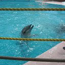 ���� �����, ������ �������� - ��������� 11 ��� 2010 � ������ �������