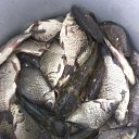 ���� ������, ������, 59 ��� - ��������� 22 ���� 2012 � ������ �������