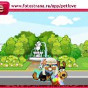  , , 35  -  2  2011   PetLove