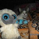 ���� Mg_girl, ���������, 30 ��� - ��������� 24 ������� 2012 � ������ ���� ����������