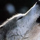 ���� �����, �����-�������� - ��������� 4 �������� 2012 � ������ �� ���� � ���� ������� ���.�