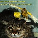 ���� Ju, �������� - ��������� 14 ������ 2013 � ������ �������