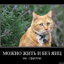 ���� ������, ������, 49 ��� - ��������� 27 ������ 2012 � ������ ���� ����������