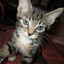 ���� ����, ������, 36 ��� - ��������� 2 ������� 2011 � ������ ���������