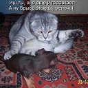 ���� ������� ��������, ������, 35 ��� - ��������� 20 ����� 2011 � ������ ������������