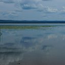 �������� ����� �� ������� �������