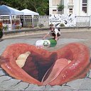 ���� ������, ������-��-����, 30 ��� - ��������� 1 ��� 2012 � ������ ������