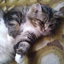  ,  -  16  2009     &quot;&quot;  - !