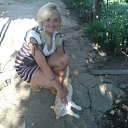 �� ���� �� ������� ���� ����������