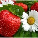 ���� �������, �����������, 49 ��� - ��������� 15 ������ 2011