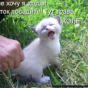���� ����, ����������� - ��������� 9 ������� 2010 � ������ ������� ���� �������)�