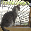 ���� ����, ������, 33 ���� - ��������� 15 ������ 2012 � ������ �15.04.12 �� ������ �������� ���� =)))�