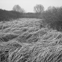 ���� ����, �����-���������, 51 ��� - ��������� 20 ������� 2011