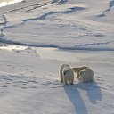 ���� ��������, ������ - ��������� 3 ������� 2012 � ������ �������