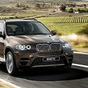 ���� Laert, ����������, 43 ���� - ��������� 17 ������ 2013 � ������ ���� ����������