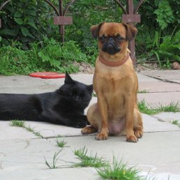 ���� �����, ���������, 54 ���� - ��������� 6 �������� 2011