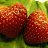 ���� ����������, ������, 61 ��� - ��������� 10 ��� 2012
