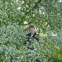 ���� �����, ������, 50 ��� - ��������� 2 ������� 2010 � ������ ������