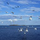 ���� ���������, ����������, 35 ��� - ��������� 12 ������ 2011 � ������ ������� ��������:)�