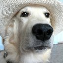 ���� Konstantin, ���������, 57 ��� - ��������� 3 �������� 2012