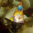 ���� Larka, ������, 52 ���� - ��������� 11 ������ 2012 � ������ ���� ����������