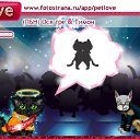 ���� ������ ~������~ ������ � �����, �������, 45 ��� - ��������� 4 ������ 2010 � ������ �PetLove�