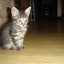 �� ��� ����� �����������))) �� ������� �������