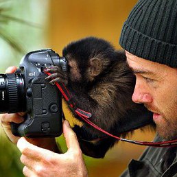 ���� �������, �����-���������, 52 ���� - ��������� 27 �������� 2012