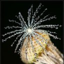 ���� ������, ������, 34 ���� - ��������� 26 ��� 2010 � ������ ����� � ��������