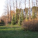 ���� �����, ������, 73 ���� - ��������� 5 ������ 2011 � ������ ������������ ����������