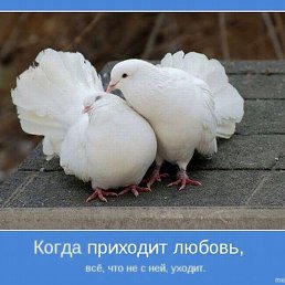 ���, ��� �� ����� ��� ��������, ��� �� ������ �� ���� ���� �����