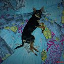 ���� �������, ������, 31 ��� - ��������� 6 ������ 2009