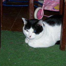 ���� ����, ������-��-����, 62 ���� - ��������� 14 �������� 2010