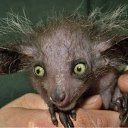 ���� �������, ��������, 35 ��� - ��������� 17 ������ 2011