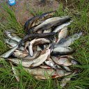 ���� ������, �����-���������, 47 ��� - ��������� 19 ����� 2010 � ������ �������