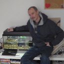 ���� ����, ������, 61 ��� - ��������� 12 ������� 2013 � ������ ���� ����������