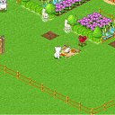 ���� Hamelion 78, �����������, 47 ��� - ��������� 12 ������ 2012 � ������ ������� �������