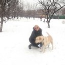 ���� ������, ������, 49 ��� - ��������� 21 ������� 2012 � ������ ���� ����������