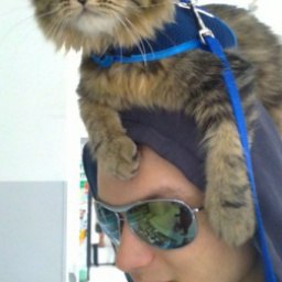 �����, �����, 37 ���