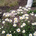 ���� ������, ������, 63 ���� - ��������� 6 ����� 2012 � ������ ���� ������